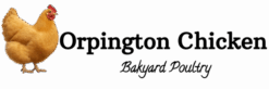 logo orpington chicken